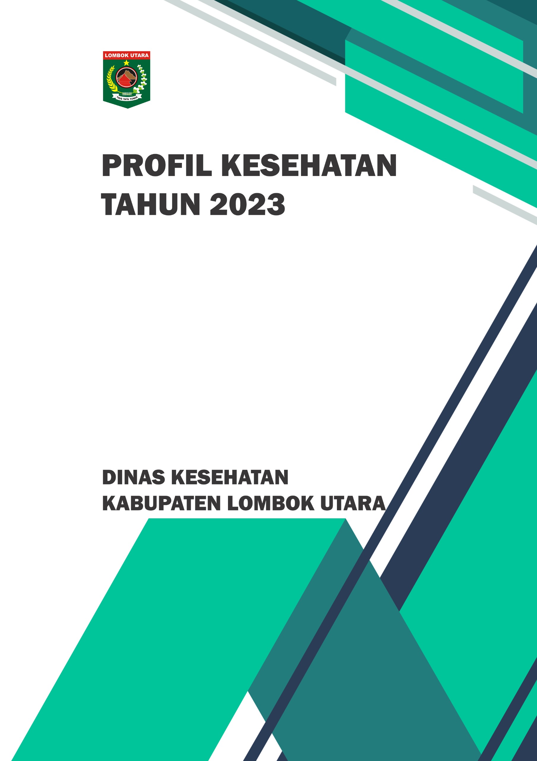 Profil Dinas Kesehatan 2023